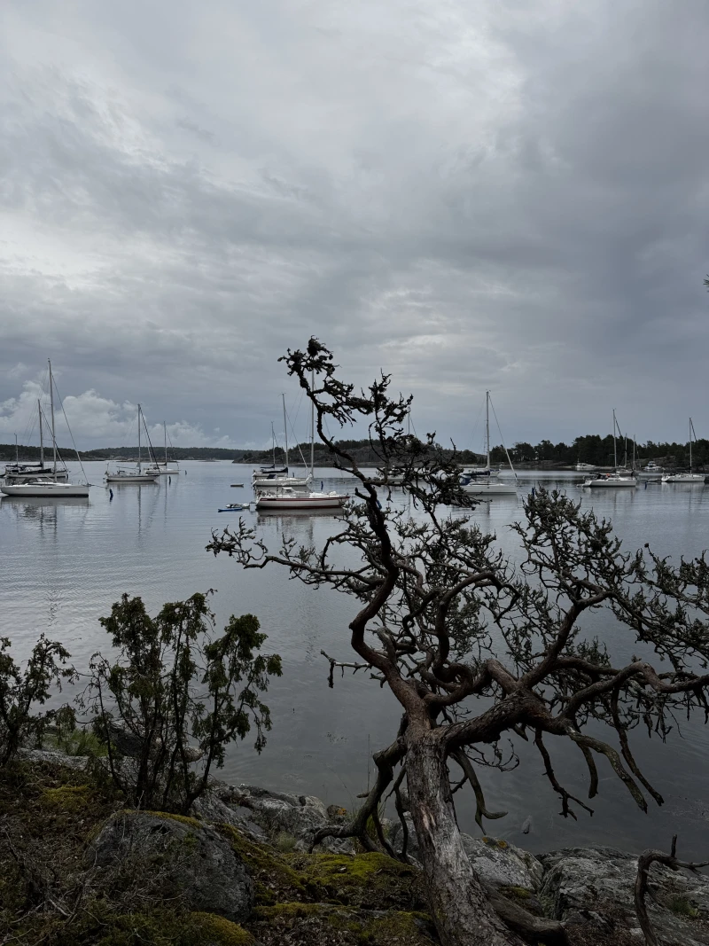 Östermarsfladen Naturhamn - фото марины 2