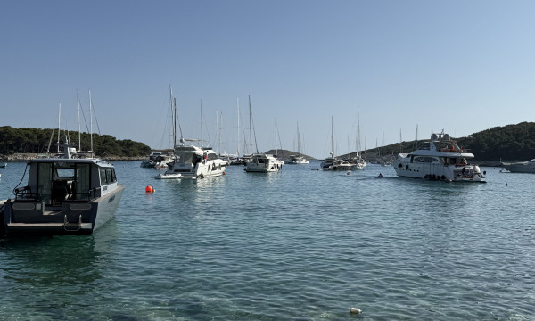 Visitor buoy near Palmižana