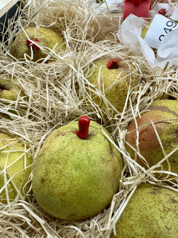 L’Angolo Delle Gemelle Greengrocer’s - фото достопримечательности 3