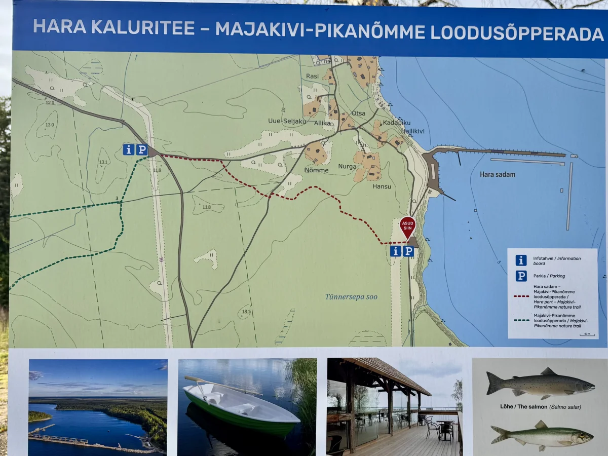 Hara Fishermen Path - Majakivi - Pikanõmme Nature Trail - фото достопримечательности 1