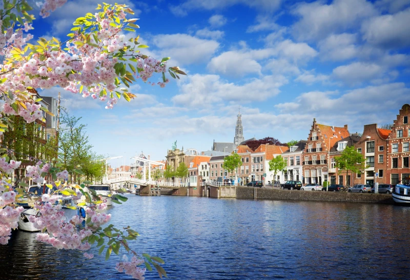 Haarlem - фото города 2