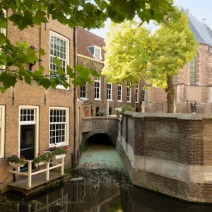 Gouda