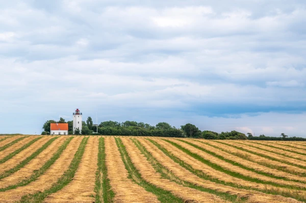 Nykøbing Falster - фото города 3