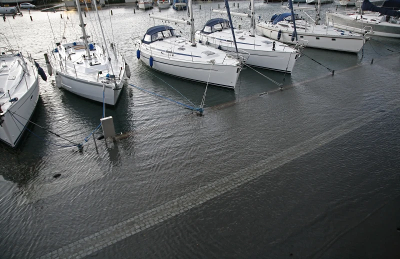 Nyborg Marina - фото марины 2