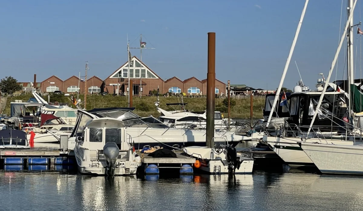 Marina Borkum - фото марины 1