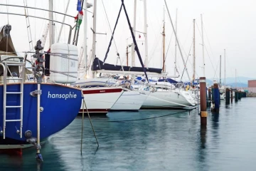 Marina Koper
