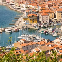Marina Piran