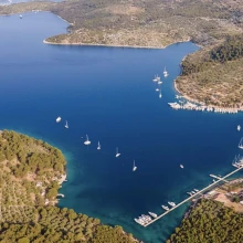 ACI Marina Žut