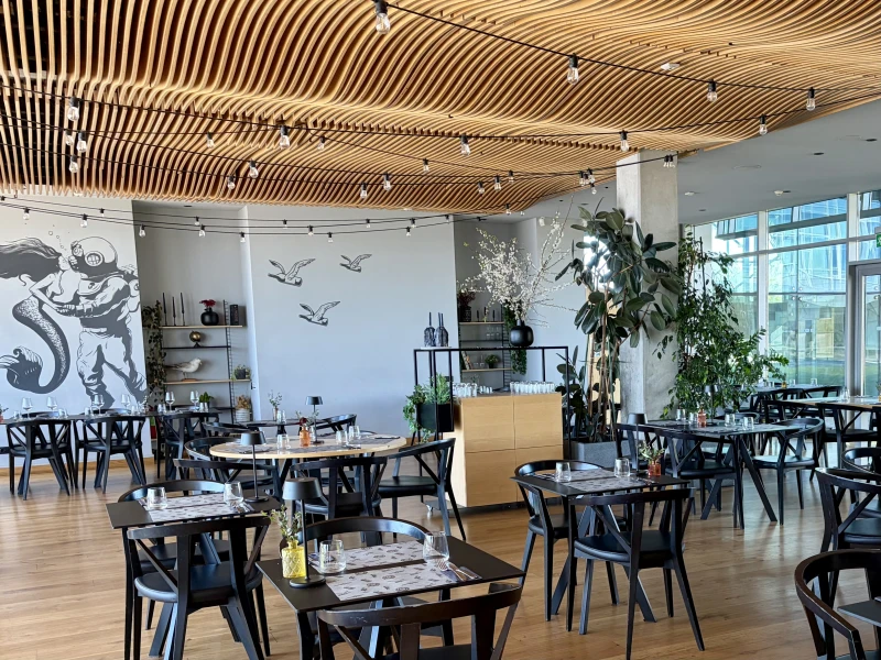 Restaurant Osta - attraction photo 2