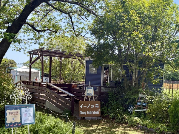 Ino-forest Dog Garden - attraction photo 4