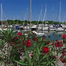 Marina del Faro