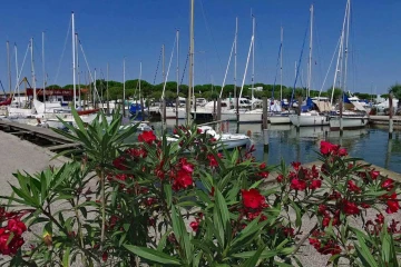 Marina del Faro