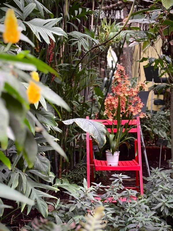 Tallinn Botanical Garden - attraction photo 3