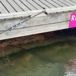 Review photo from this marina