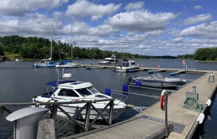 Marina Elmsta
