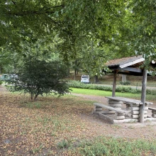 Djurgårdeni koertepark (Frisensi park)