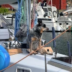 Review photo from this marina