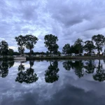 Review photo from this marina