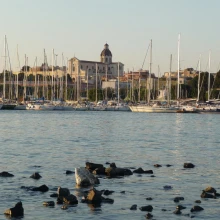 Marina del Sole