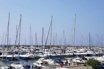Marina Salivoli