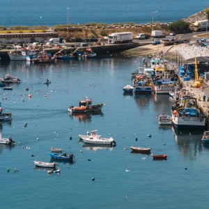 Sines