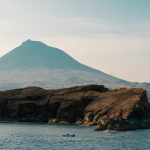 Pico