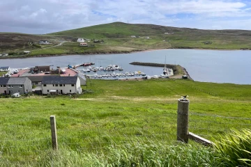 Skeld Marina