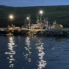 Collafirth Marina