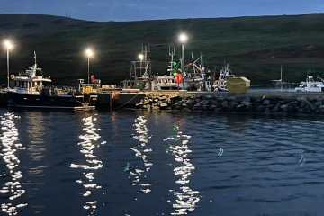 Collafirth Marina