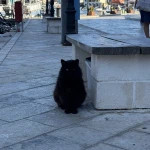 Review photo from this marina