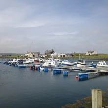 Walls Marina