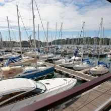 Mayflower Marina