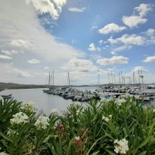 Marina del Ponte